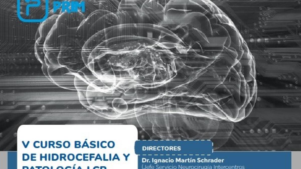 V Curso Básico Hidrocefalia y Patología LCR