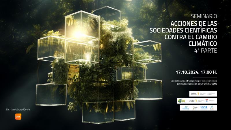 portada_webSSCC4