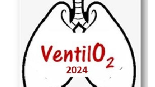 Curso «Entender, programar y manejar la ventilación mecánica (VentilO2) 2024»