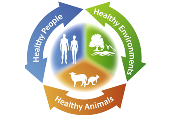 Onehealth