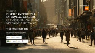 Medio ambiente y enfermedad vascular